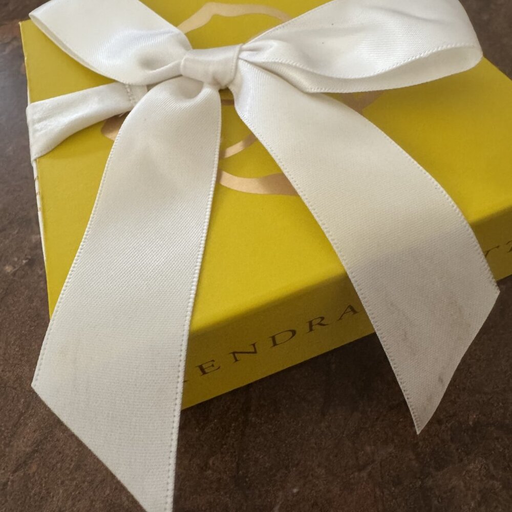 Kendra Scott Silver Demi Charm Necklace - Picture 7 of 7